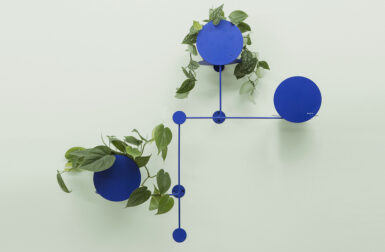 Plants Can't Outgrow You With the Floos Modular Wall Plant Hanger