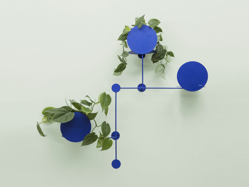 Plants Can’t Outgrow You With the Floos Modular Wall Plant Hanger