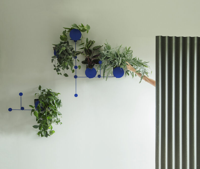 cobalt blue modular wall planters with plants