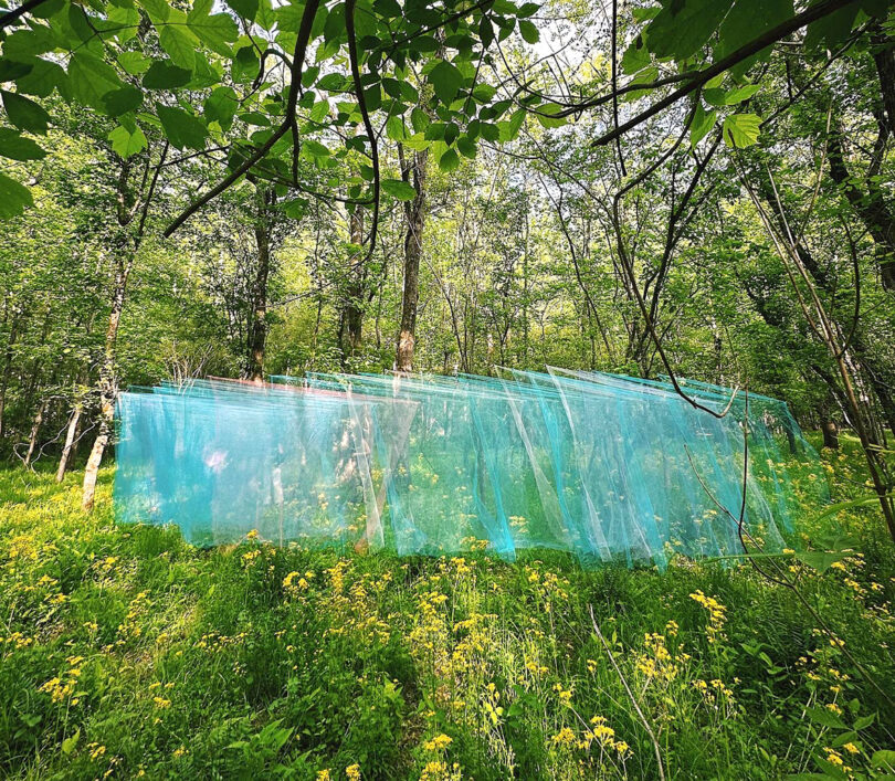 Artist installation of flowing gauze panels in the Serenbe forest.