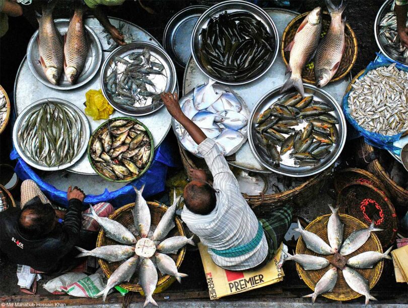 down view of man selling various kinds of fish at market