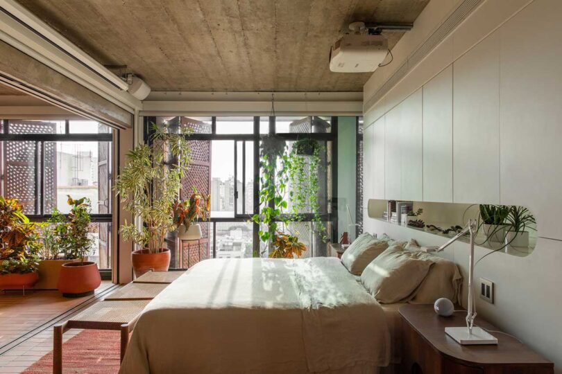 modern bedroom with plants hanging with windows behind