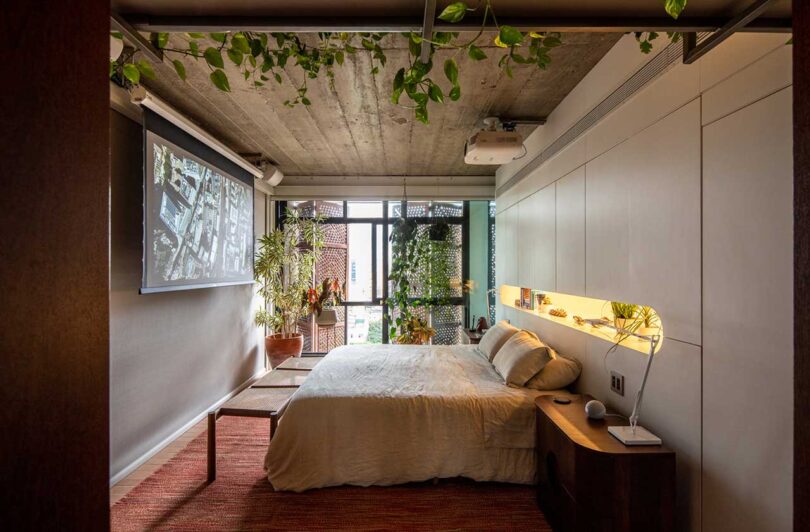 modern bedroom with plants hanging with windows behind partial door with projection screen