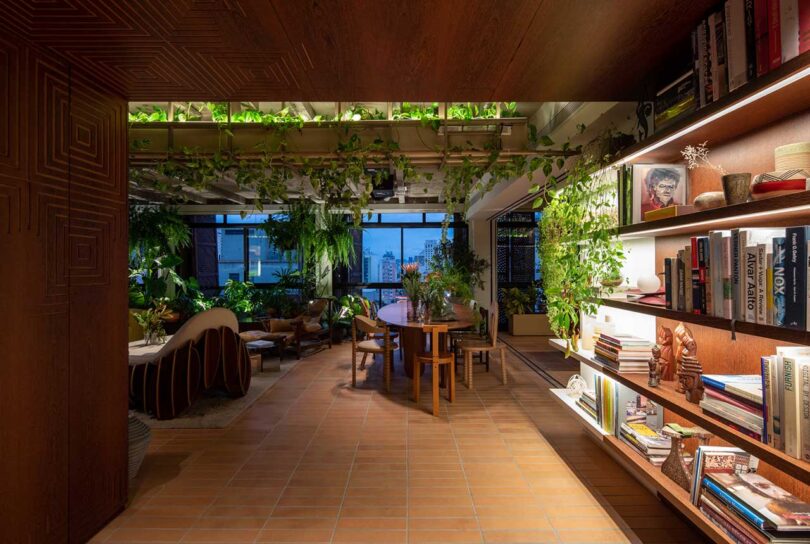 Evening view of a modern living space with plants hanging from the ceiling