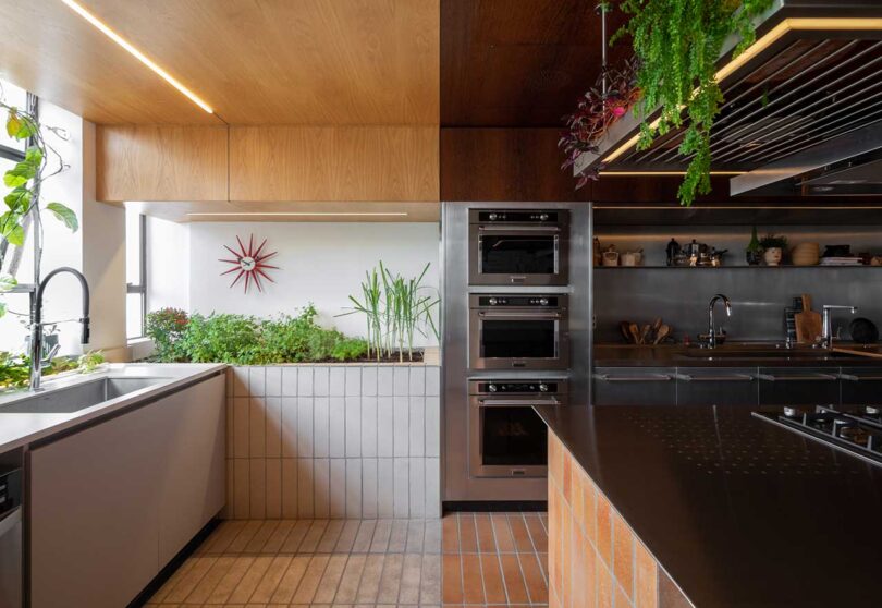 partial view of modern kitchen with built-in planter