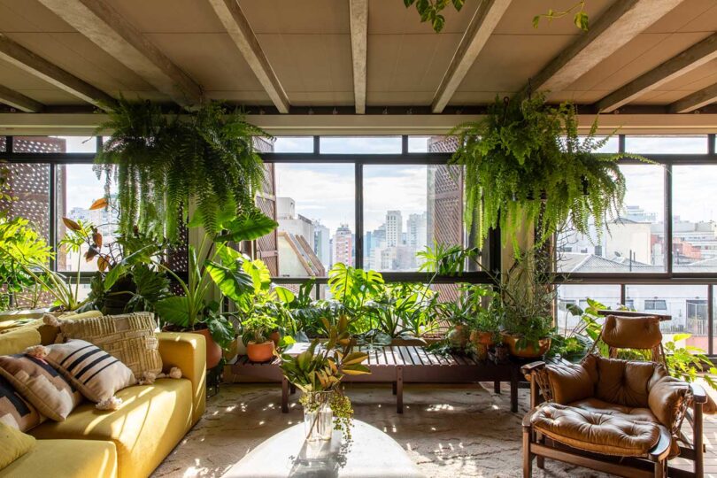 view of modern living room with eclectic furnishings and plants hanging everywhere