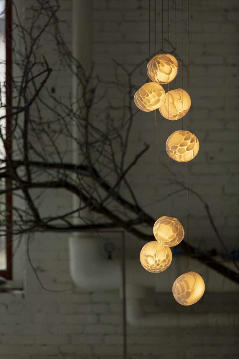 string of seven globe pendant lights illuminated styled with a tree branch