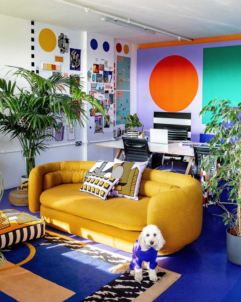 angled office view with colorful geometric walls and gold velvet sofa with white dog on floor in front
