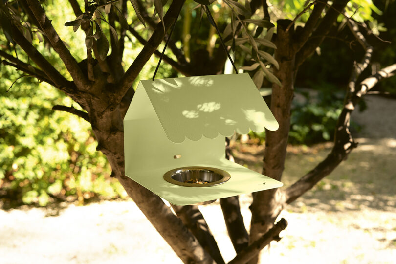 citrine colored bird feeder hanging on a tree branch