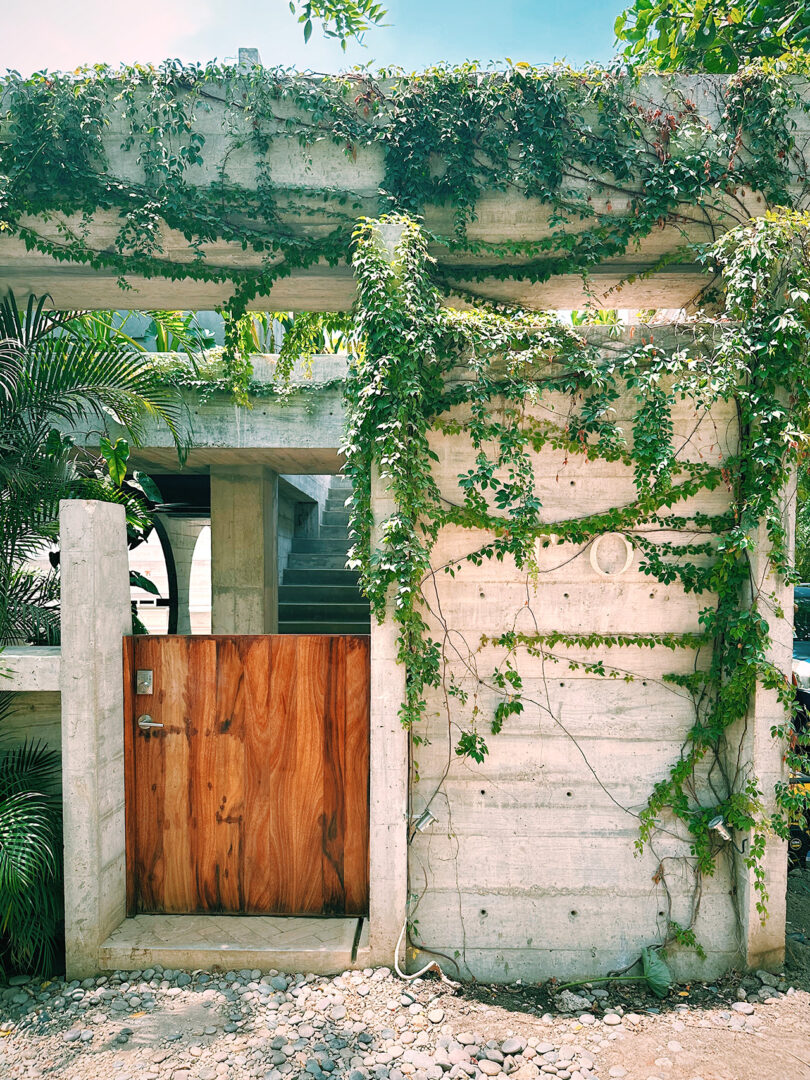 Half height wooden door entrance and concrete walls covered in vines gracing the front of Casa TO hotel
