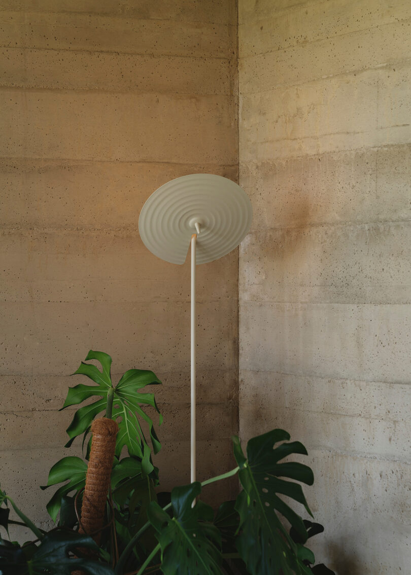 white floor lamp with saucer-shaped shade