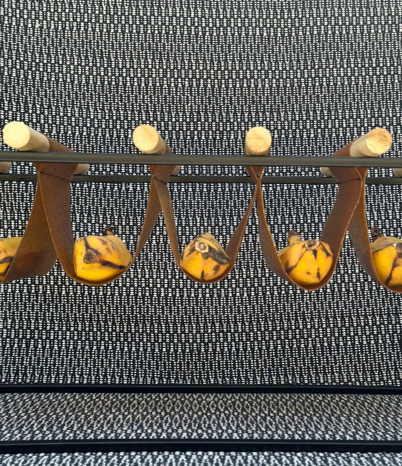 bananas placed in slings