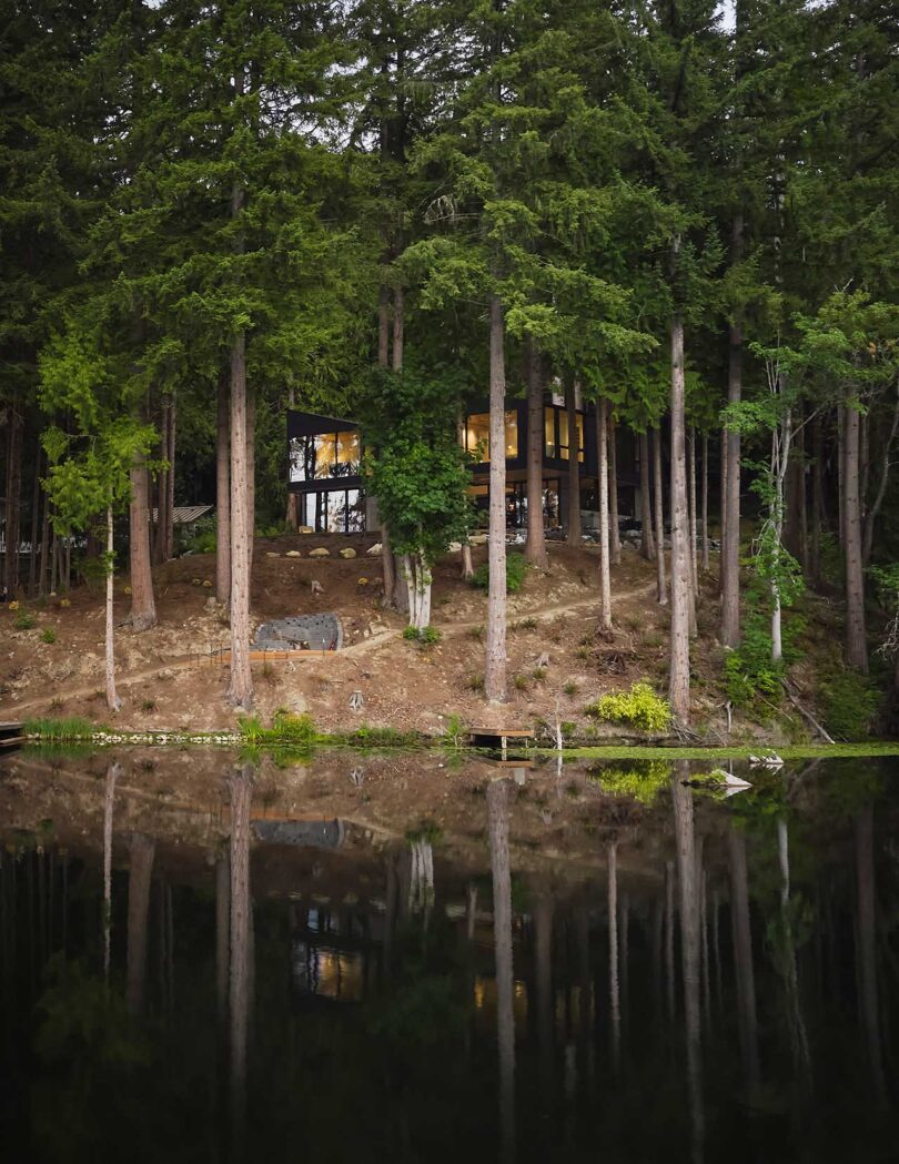 نمای بیرونی زاویه دار خانه مدرن در جنگل که از آب گرفته شده است