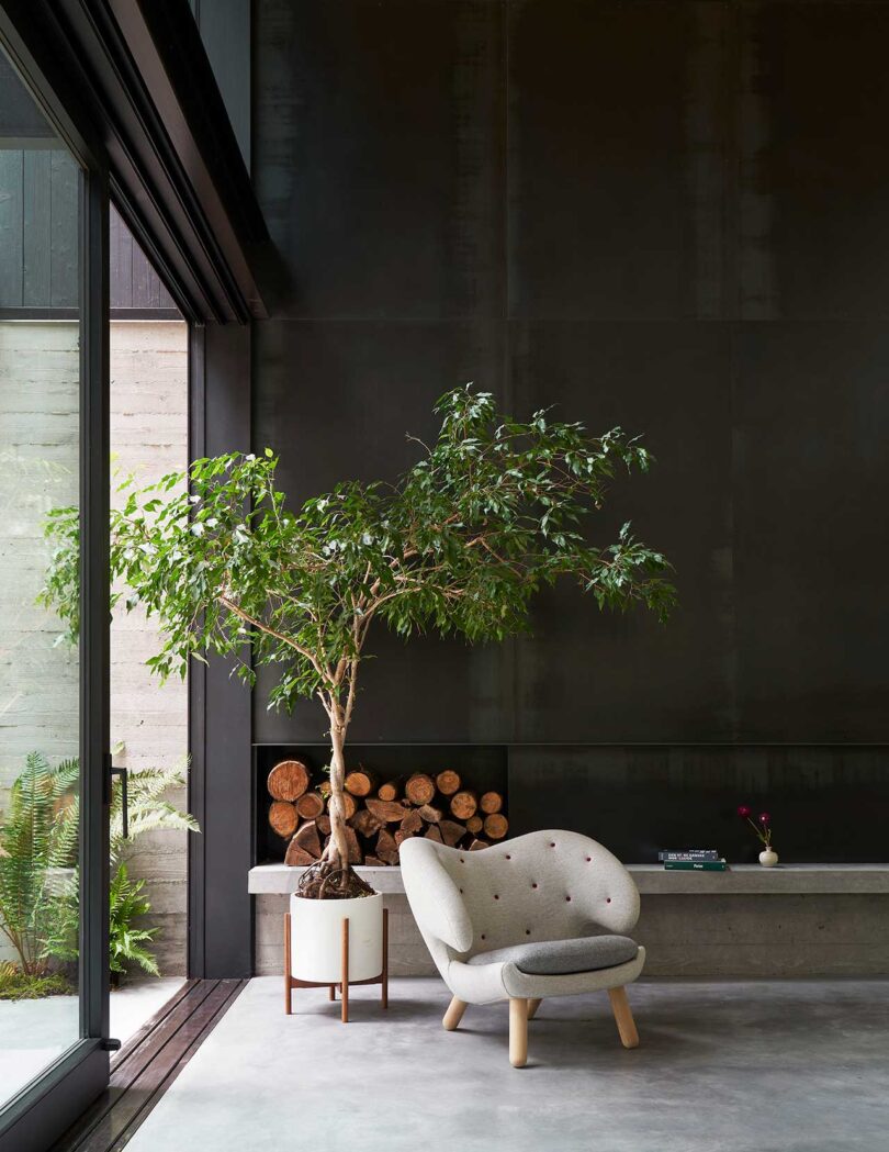 نمای داخلی فضای نشیمن مدرن با دیوار مشکی و صندلی خاکستری و درخت گلدانی در جلو