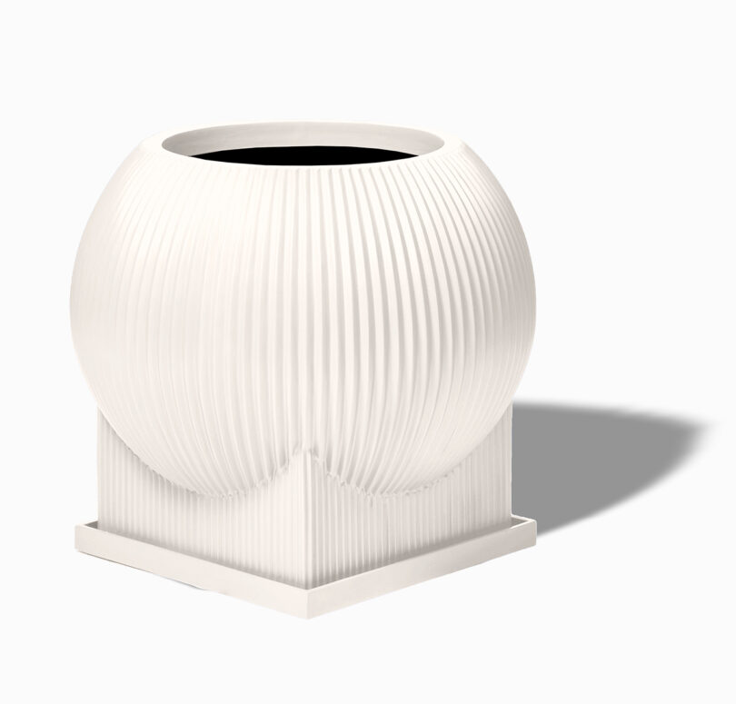 modern ivory fluted urn on white background