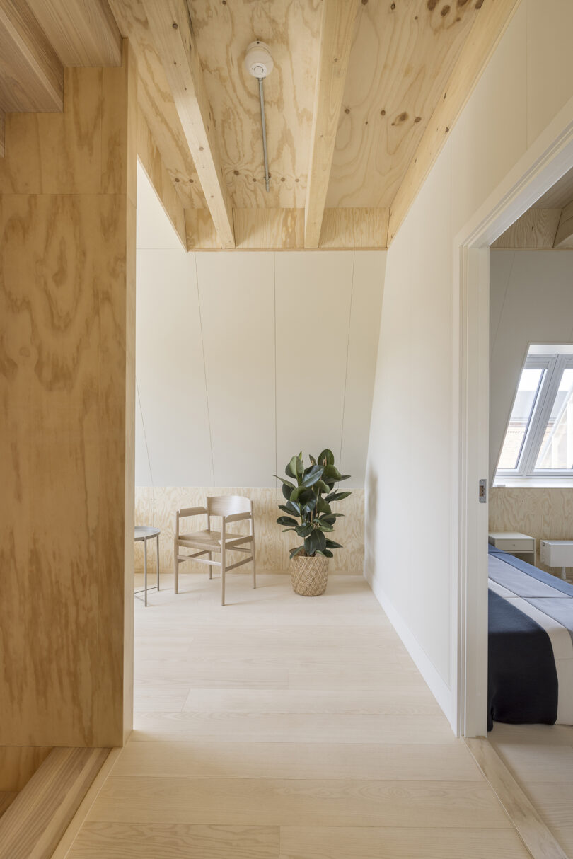 light wood open living space