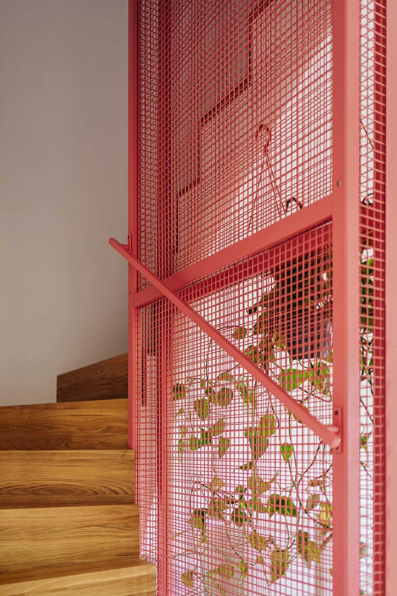 angled view looking up a modern staircase with pink metal frame caging