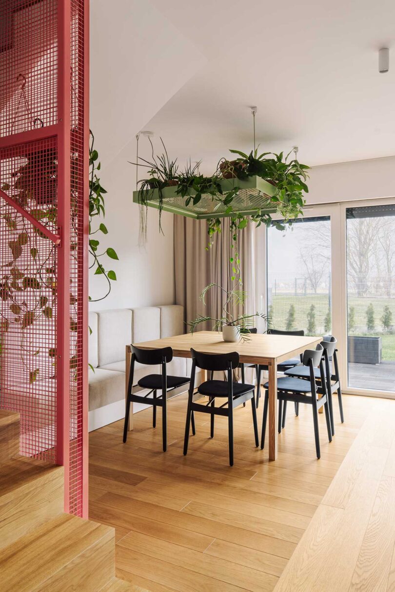 نمای زاویه دار فضای ناهارخوری مدرن با قاب آویزان گیاهان نگهدارنده بالای میز