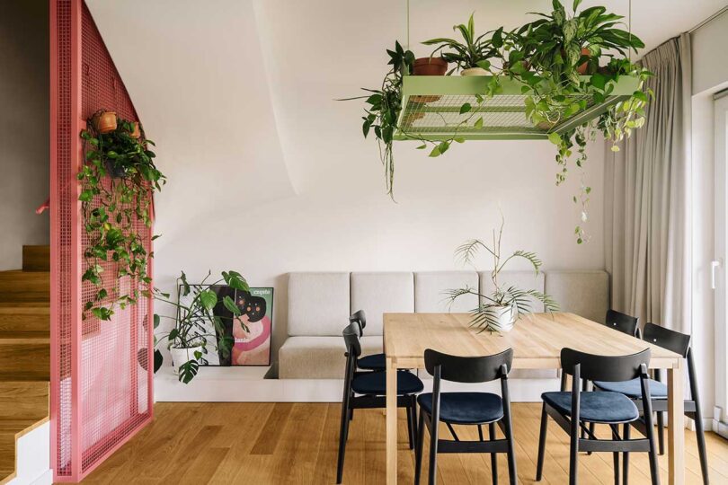 view of modern dining room with plants hanging above with built-in sofa behind it