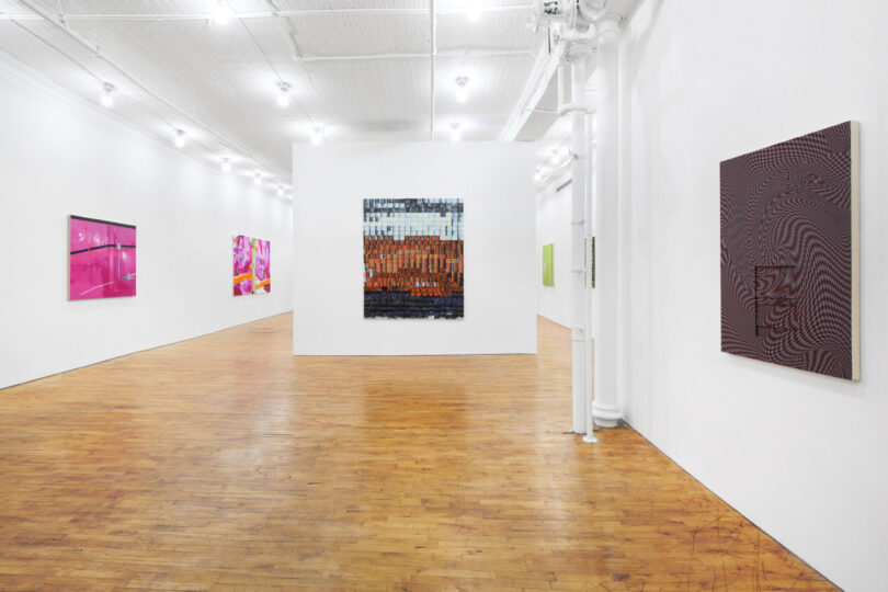 Installation image with multiple paintings at Tara Downs gallery