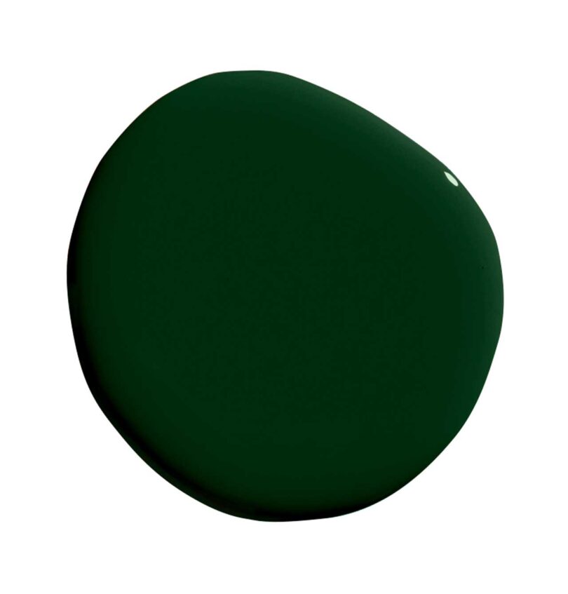 paint blob of deep green paint