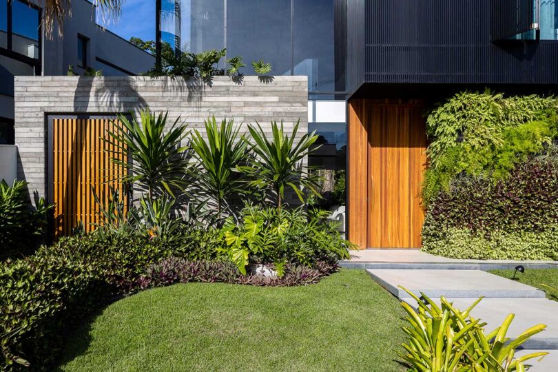 closeup exterior view of modern house with tropical plants