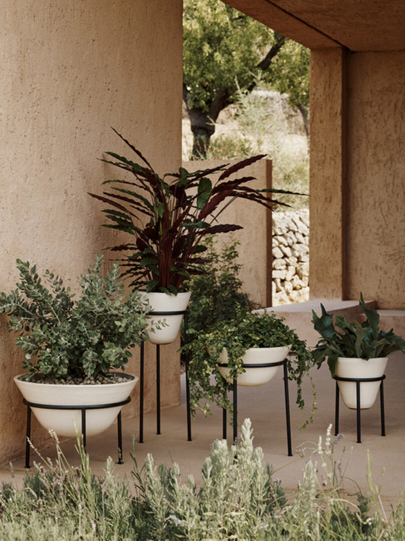 four white stand planters of different heights outdoors