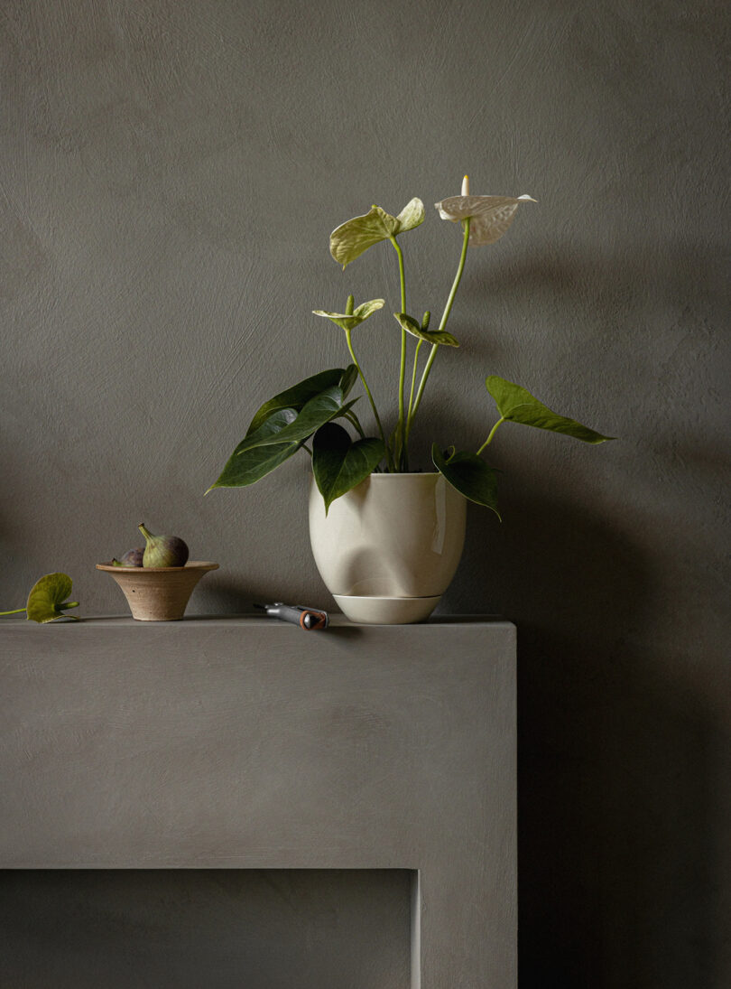 white planter with plant on dark grey mantel