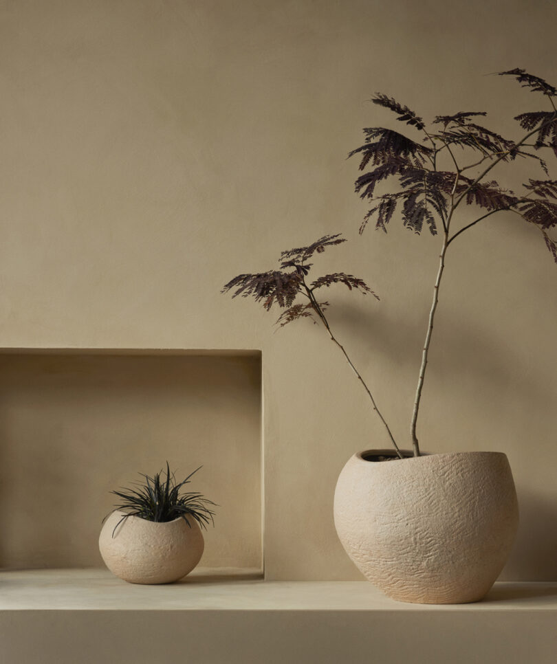 two sphere-shaped organic planters in two sizes