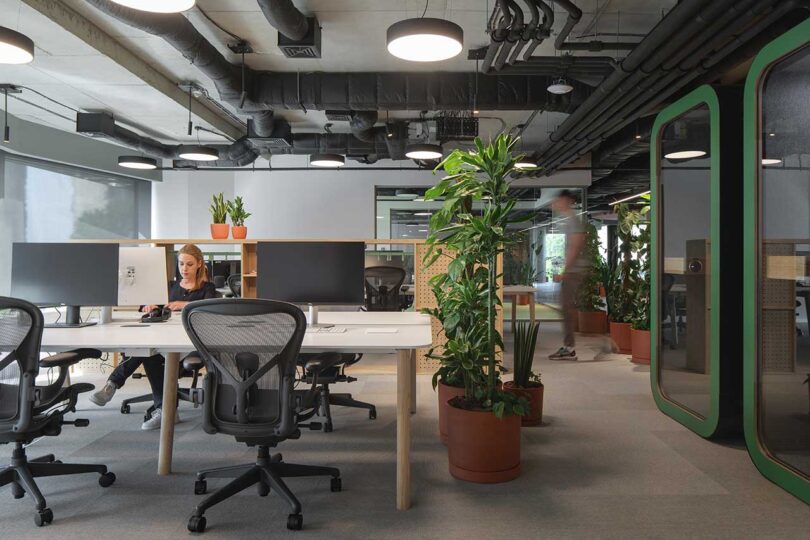 partial view of group desks in modern office surrounded by plants