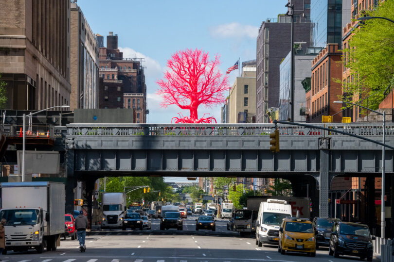 A pink tree centered above 10th Avenue on the High Line