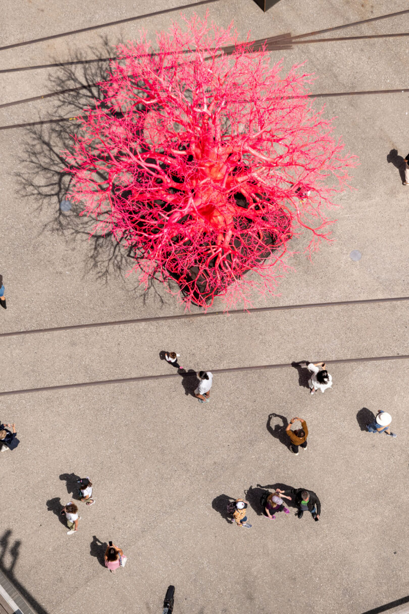 Birds-eye-view of visitors with "Old Tree" on High Line