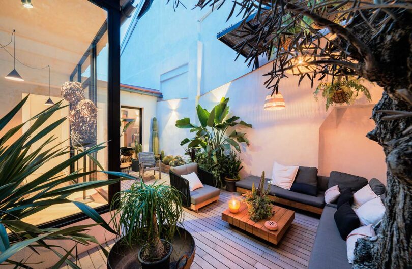 view looking out to interior patio of modern house with plants
