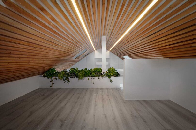 interior view of loft spac with pitched ceiling clad in wood beams