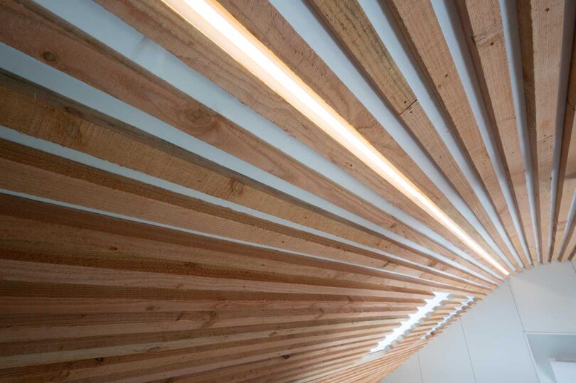 angled roof clad in wood beams