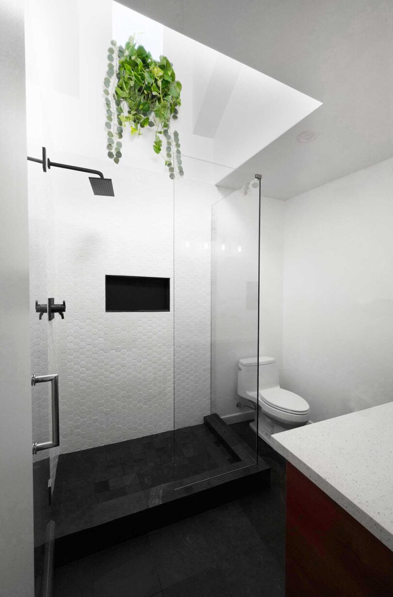 minimalist modern black and white bathroom with hanging plant