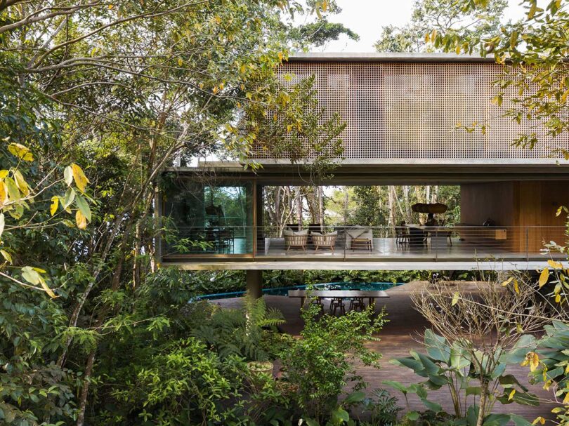 boxy modern house elevated above pool surrounded by trees