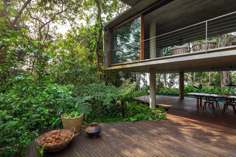 casa moderna retangular elevada elevada na floresta