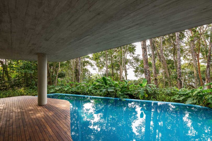 vista do deck coberto com vista para a piscina e a floresta