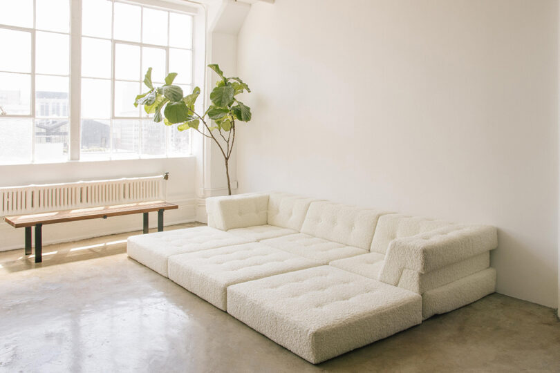 two-seater single layer white sofa with extended cushions in a styled interior space