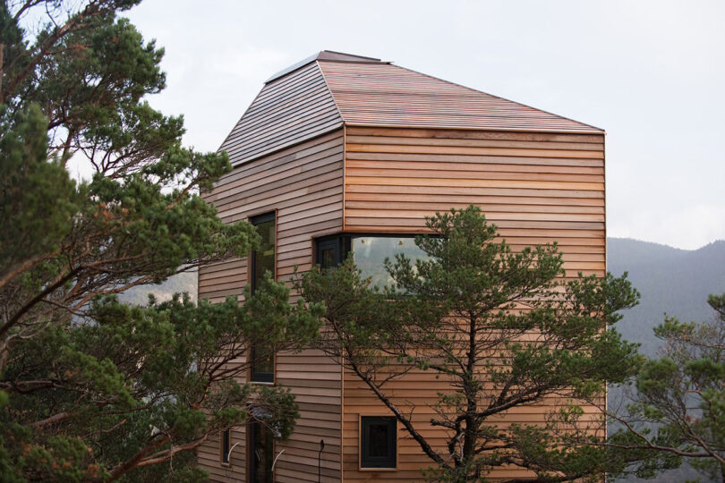View of the untreated red cedar cladding covering the exterior of the cabins, with conifer trees in the foreground.