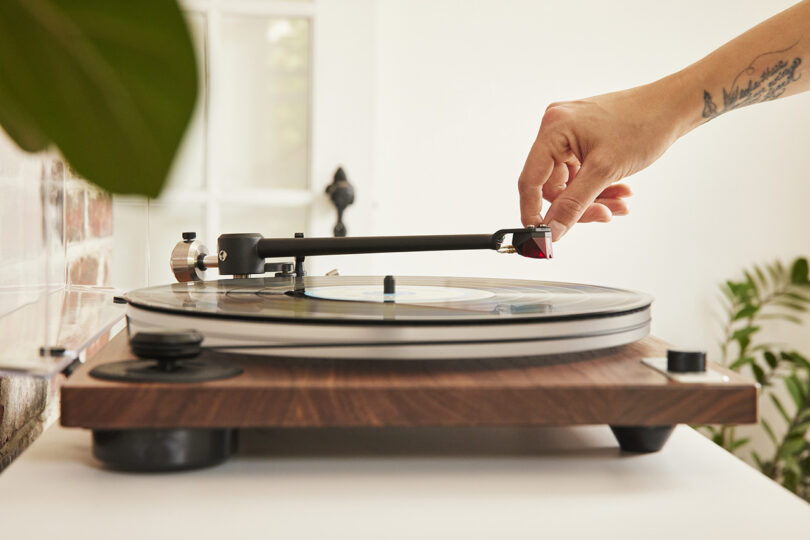 Person with tattooed arm reaching to place Red Ortofon needle and tone arm onto record with ORBIT wood plinth turntable. Houseplants can be seen blurred in the background alongside a brick wall.