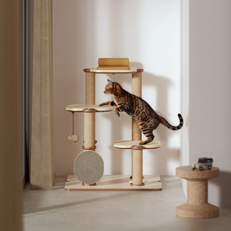Bengal breed cat climbing from one level to another across Infinity Cat Tree villa in a contemporary styled room with concrete flooring and large cork thumbtack side table with small LEGOs toy vehicle set upon it.