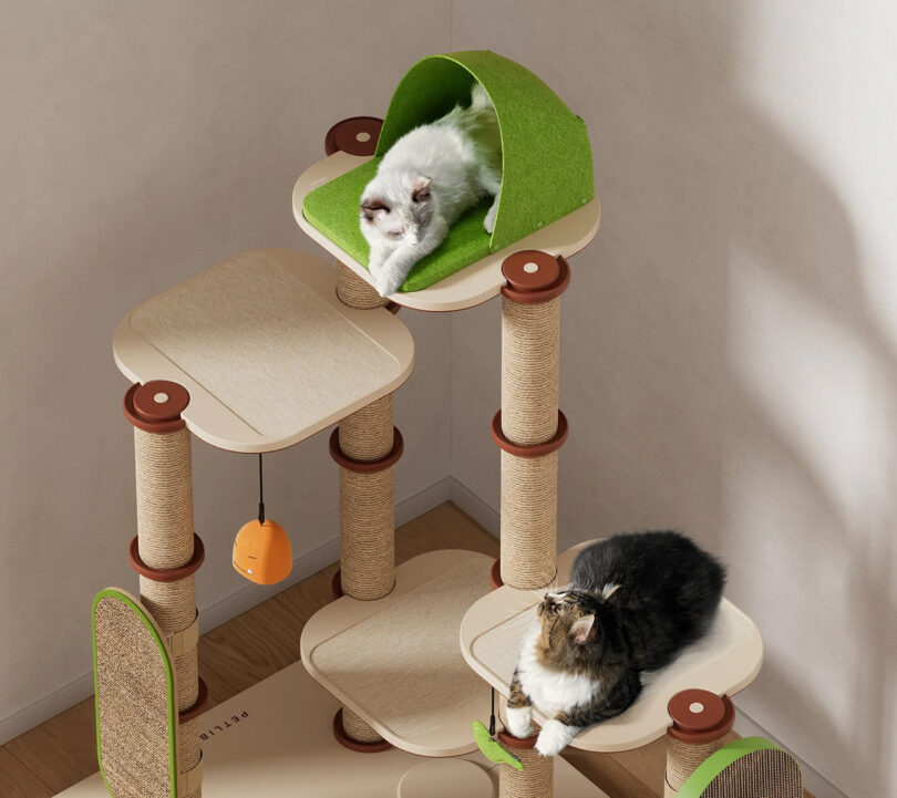 View from above showing the largest four tier Castle Infinity Cat Tree configurations, shown with two adult cats looking at one another from different levels.