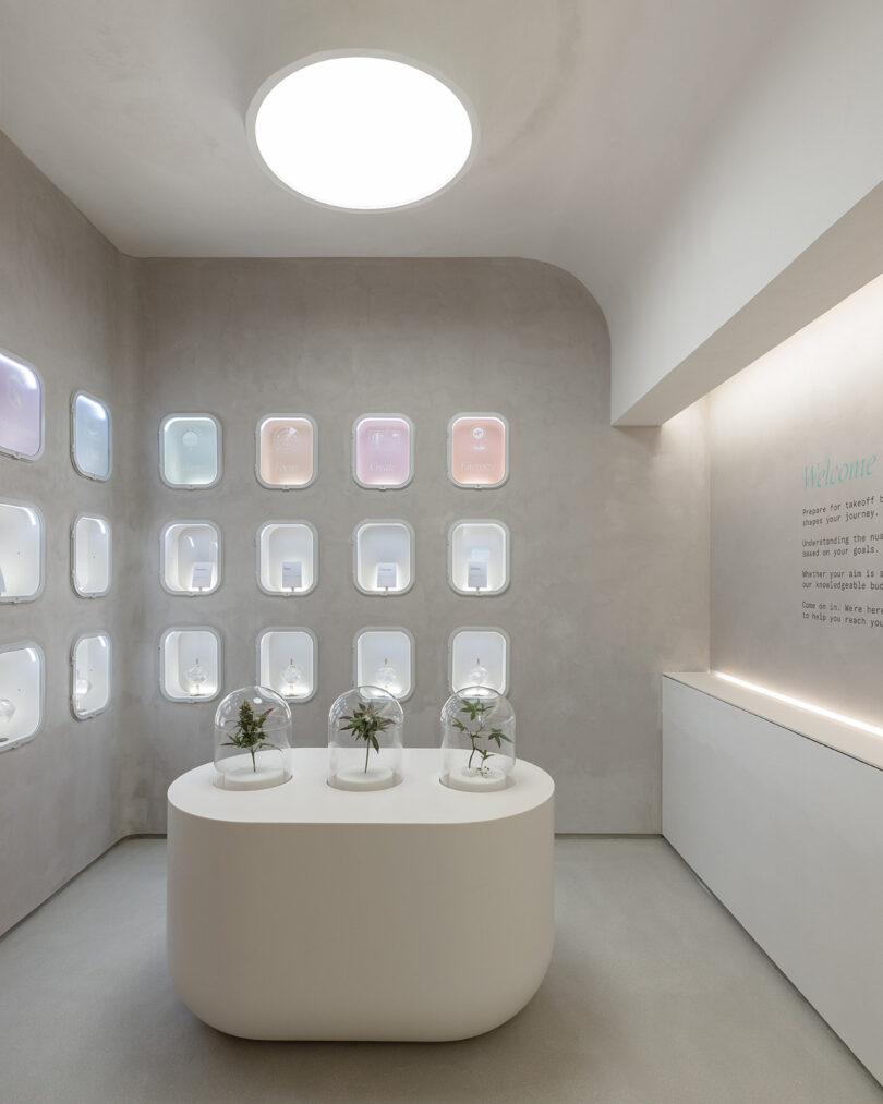 All white minimalist cannabis retail space in New York with three vitrine dome displays with cannabis plants inside, inset wall shelving with various cannabis products across two walls, and a circular light overhead.