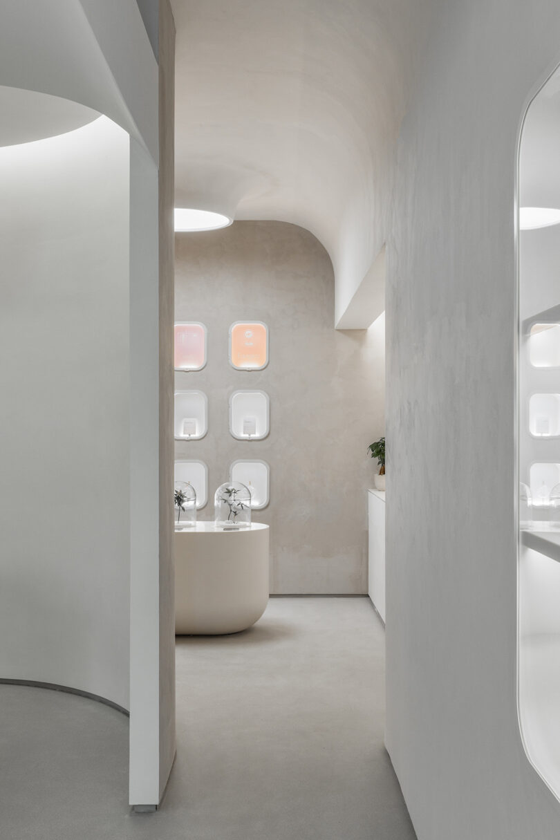 View from entryway looking into the main Flower Lounge section of the retail space, surrounded by curving concrete walls with vitrine displays and wall alcoves visible in the background.