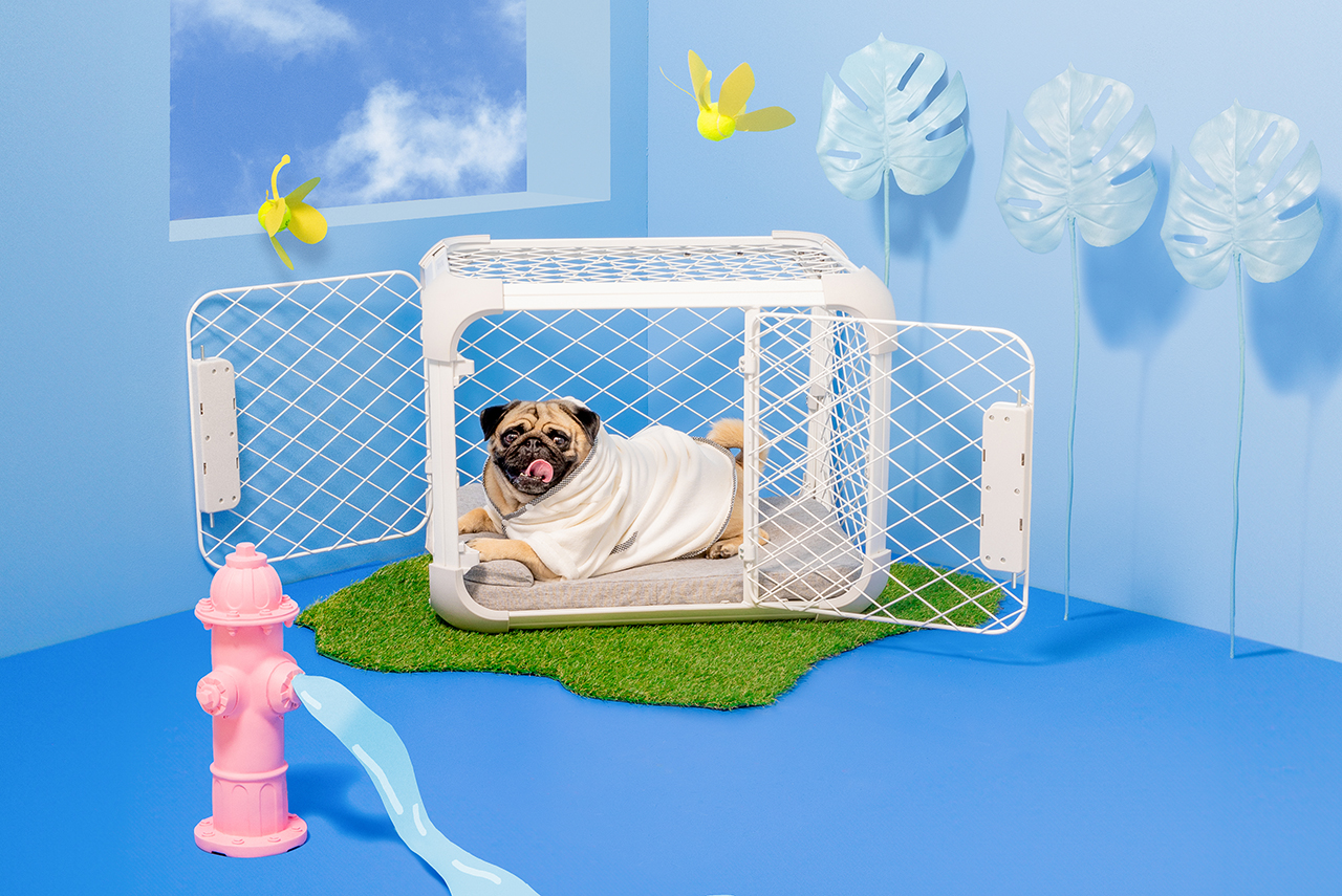 Diggs’ Evolv Dog Crate-Playpen Hybrid Fits Your Pup + Your Style