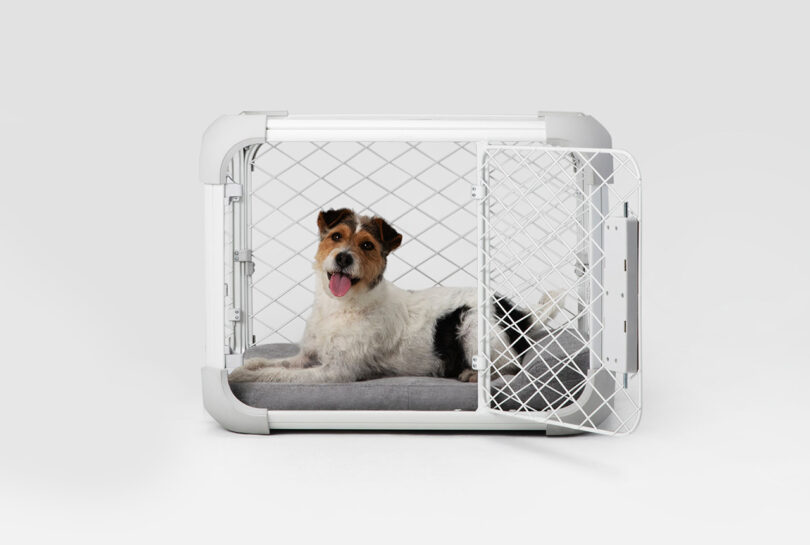 dog laying down in a white dog crate/playpen