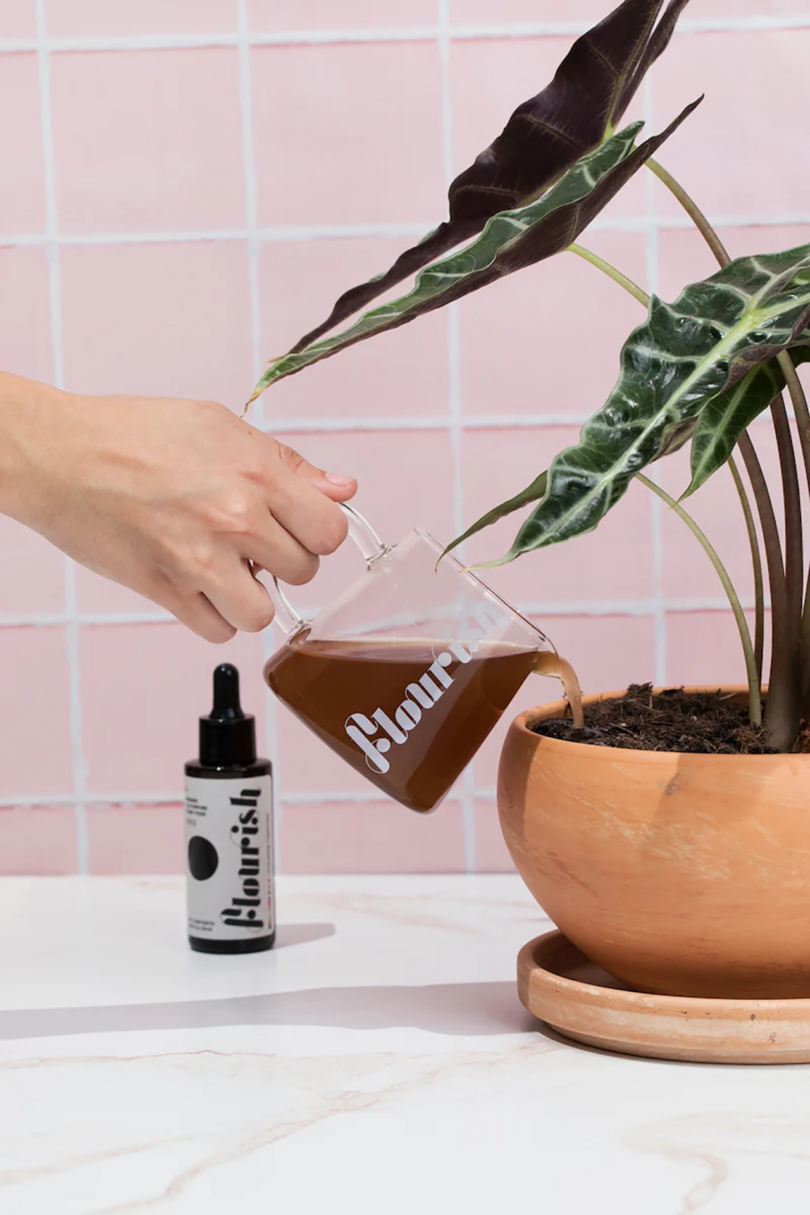 a light-skinned hand pours a glass carafe of brown liquid into a planter, a dropper bottle sits nearby