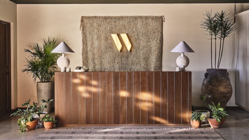 The reception desk at THE WELL at Chileno Bay